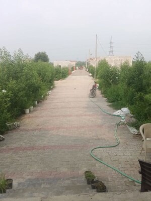 Plot Area in  Plot at Knowledge Park 3 Greater Noida – for Sale