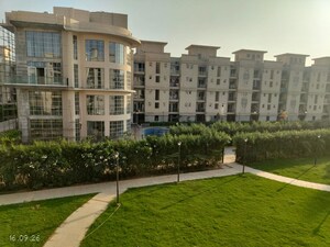 3.5 BHK Apartment For Rent in Signature Global City, Sector 37d