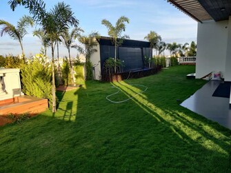 3 BHK +Apartment For Sale in DF Silverline Queens Terraces in Shivaji Nagar, Bangalore