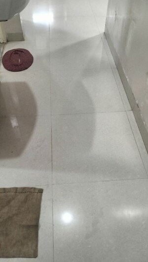 Bathroom in 3 BHK Apartment at Trimurti Wateridge, Undri – for Sale