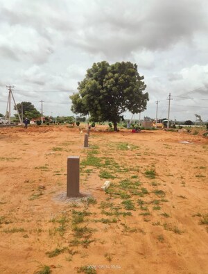 Plot Area in  Plot at Shadnagar – for Sale
