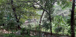2 BHK Apartment – Exterior View View at Harshvardhan CHS Powai, Powai - for Rent