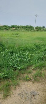 100 Sq.Yd. Plot in Pachgain Khera