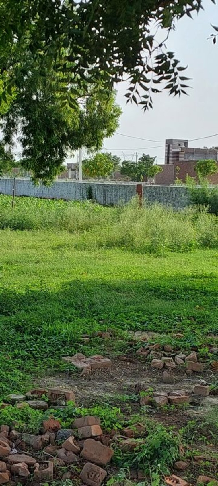 undefined, pachgain khera  100 Sq.Yd. Plot In Pachgain Khera Agra 10683249
