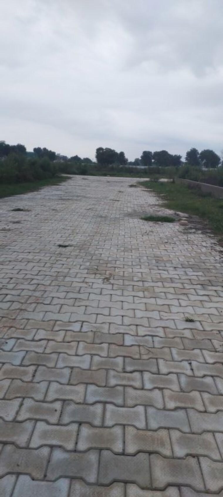 undefined, gwalior road  100 Sq.Yd. Plot In Gwalior Road Agra 10683258