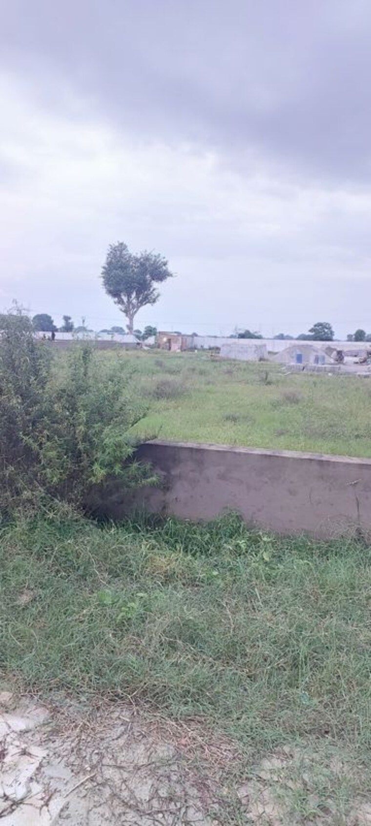 undefined, gwalior road  100 Sq.Yd. Plot In Gwalior Road Agra 10683258