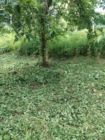 521 Sq.Mt. Plot in Maina