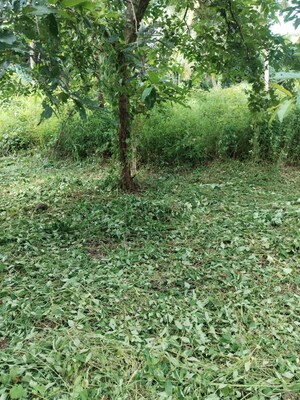  Plot For Sale in Maina
