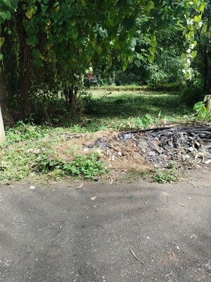 Plot Area in  Plot at Maina – for Sale