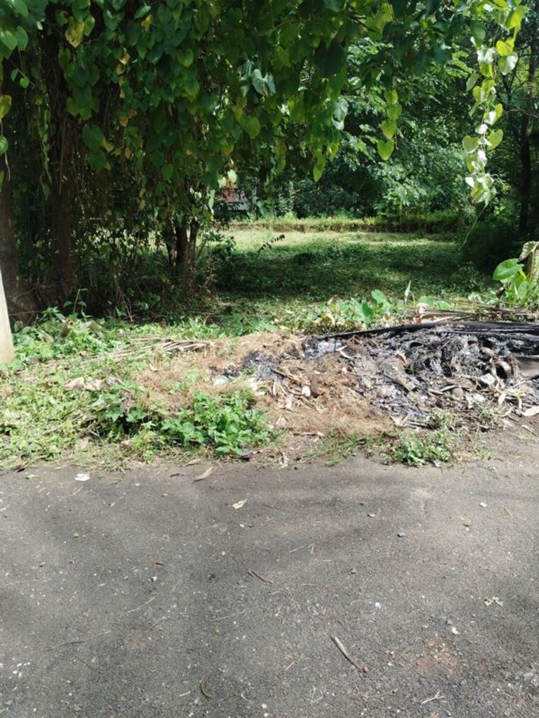 undefined, maina  521 Sq.Mt. Plot In Maina Goa 10683272