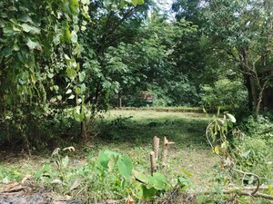 Plot Area in  Plot at Maina – for Sale