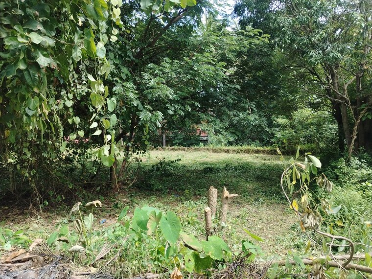 undefined, maina  521 Sq.Mt. Plot In Maina Goa 10683272