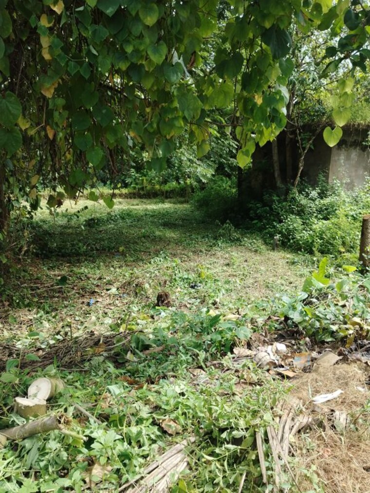 undefined, maina  521 Sq.Mt. Plot In Maina Goa 10683272