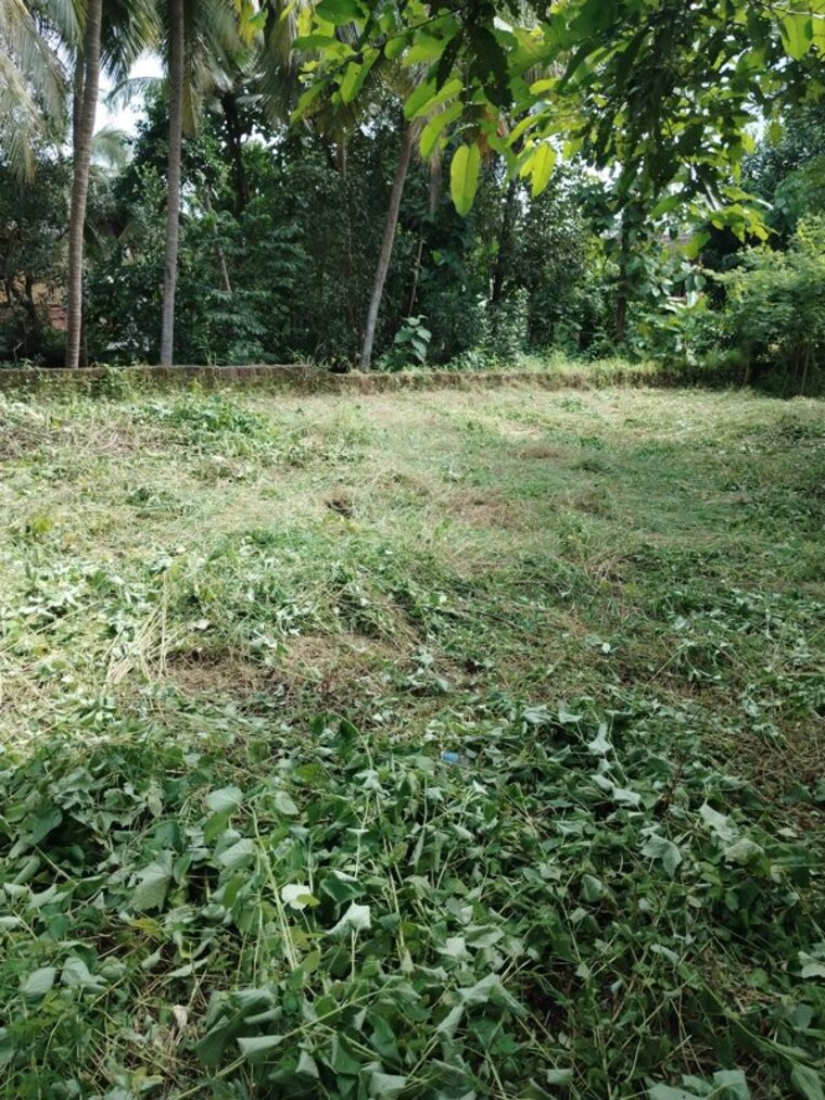 undefined, maina  521 Sq.Mt. Plot In Maina Goa 10683272