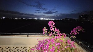 1 BHK Apartment – Garden View at Signature Global Grand Iva, Sector 103 - for Rent