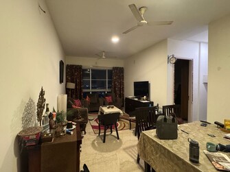 1 BHK 441 Sq.Ft. Apartment in The Baya Central