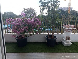 Parking in 3 BHK Penthouse at Rachana Gold Coast, Pashan – for Rent