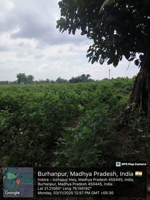 Plot Area in  Land at Mahabal – for Sale