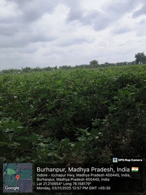 Plot Area in  Land at Mahabal – for Sale