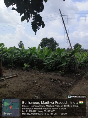 Plot Area in  Land at Mahabal – for Sale