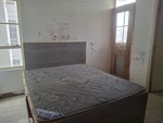 2 BHK 565 Sq.Ft. Apartment in Signature Global Solera 2