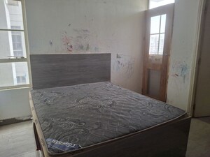 2 BHK Apartment For Rent in Signature Global Solera 2, Sector 107