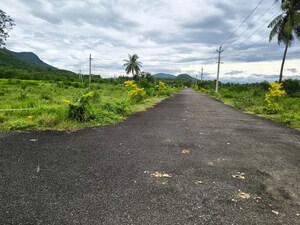 Plot Area in 2 BHK Villa at DSLs Capital Township, Tagarapuvalasa – for Sale