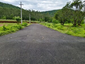 2 BHK Villa – Garden View at DSLs Capital Township, Tagarapuvalasa - for Sale