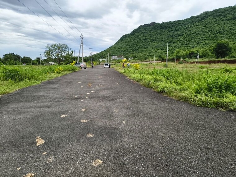 Garden, dsls-capital-township 2 Bedroom 183 Sq.Yd. Villa In Tagarapuvalasa Vizag 10684137