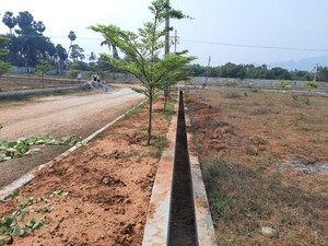 Plot Area in 2 BHK Villa at DSLs Capital Township, Tagarapuvalasa – for Sale