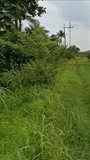  Plot For Sale in Boisar