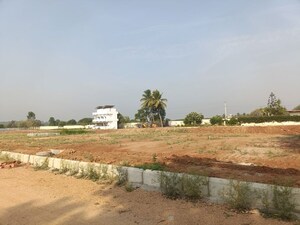  Plot For Sale in Mulug