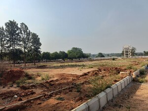 Plot Area in  Plot at Mulug – for Sale
