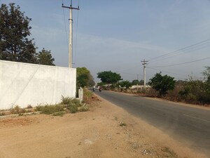 Plot Area in  Plot at Mulug – for Sale