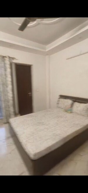 3 BHK Builder Floor For Rent in Sector 56