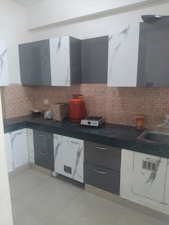 2 BHK Apartment For Rent in Conscient Habitat 78 in Sector 78, Faridabad