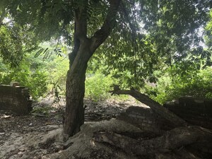 Plot Area in  Plot at New Palam Vihar Phase 1 – for Sale
