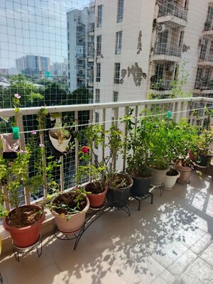 Balcony in 2 BHK Apartment at Pioneer Park Phase 1, Sector 61 – for Rent