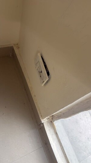 2 BHK Apartment For Rent in Pyramid Heights, Sector 85