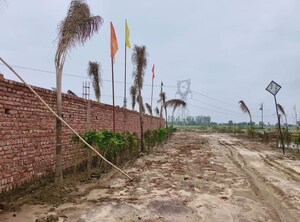 Plot Area in  Plot at Barsana – for Sale