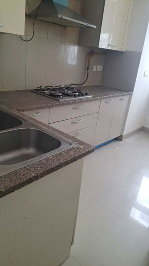 Kitchen in 3 BHK Builder Floor at Sector 22 – for Rent