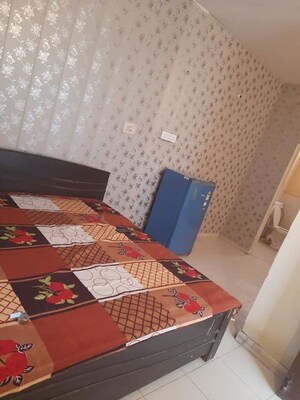 1 BHK Independent House For Rent in Sector 14