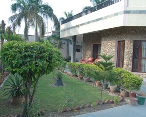 3 BHK Independent House – Exterior View View at Sector 14 - for Rent