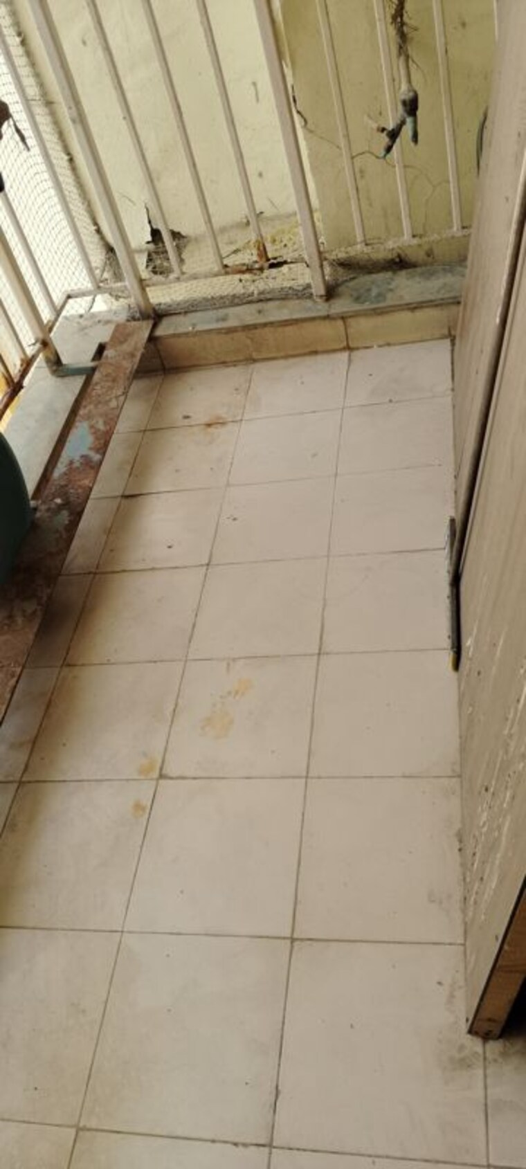 Bathroom, bptp-park-grandeura 3.5 Bedroom 2032 Sq.Ft. Apartment In Sector 82 Faridabad 10684992
