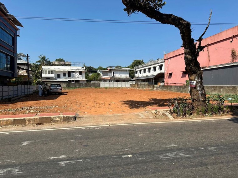 Exterior View, kuttanellur  13939 Sq.Ft. Plot In Kuttanellur Thrissur 10685250