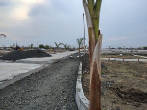 Plot Area in  Plot at Bothali – for Sale
