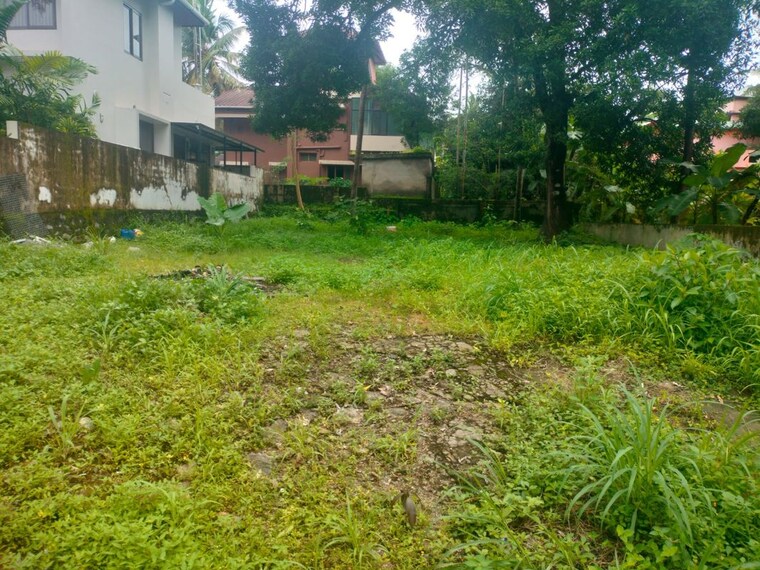 Garden, kanattukara  4356 Sq.Ft. Plot In Kanattukara Thrissur 10685344