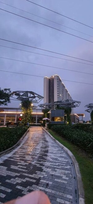 3 BHK Apartment For Sale in Tulip Yellow, Sector 69