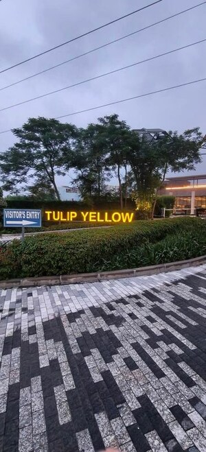 3 BHK Apartment – Exterior View View at Tulip Yellow, Sector 69 - for Sale