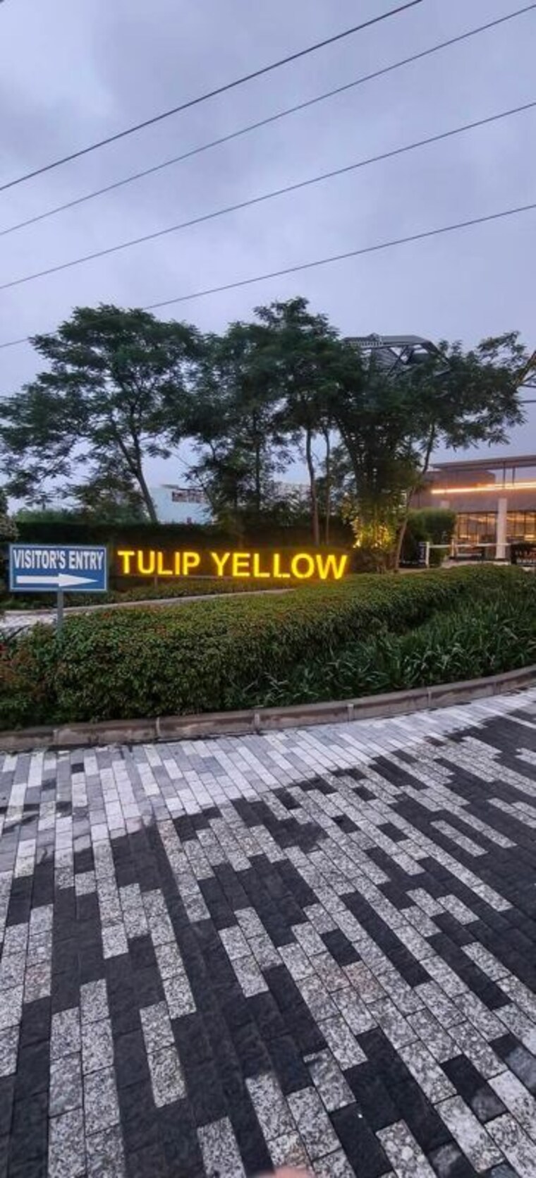 Exterior View, tulip-yellow 3 Bedroom 1704 Sq.Ft. Apartment In Sector 69 Gurgaon 10685372